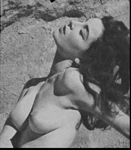 Vintage Playboy Model