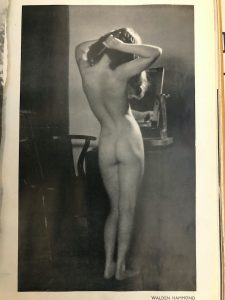Vintage Nude By Walden Hammond