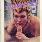Pussycat Cover – Serena taking care of a dick